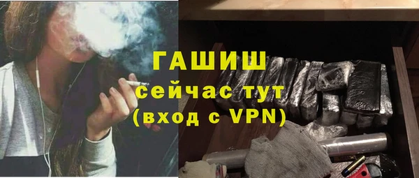 гашик Пересвет