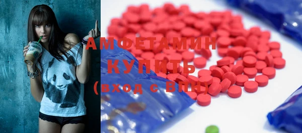 гашик Пересвет