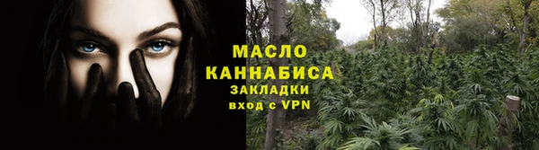 гашик Пересвет