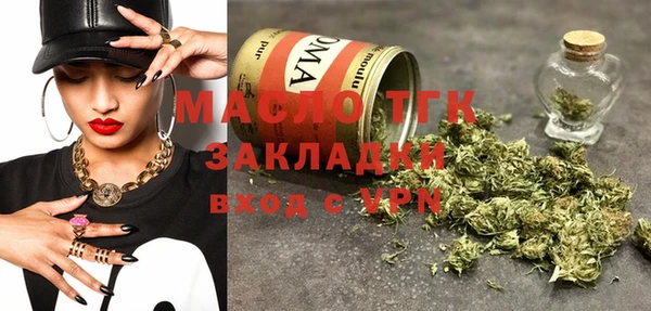 гашик Пересвет