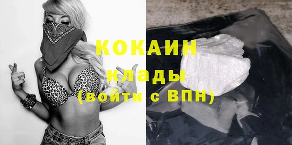 гашик Пересвет