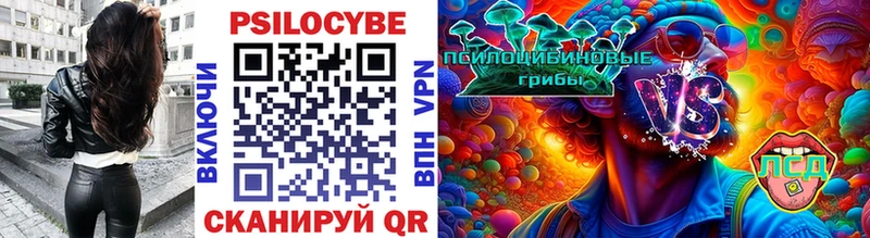 Псилоцибиновые грибы Psilocybine cubensis Оленегорск